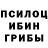 Галлюциногенные грибы Psilocybe T1mKILL