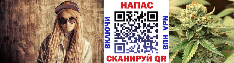где купить наркоту  Мураши  Шишки марихуана индика 